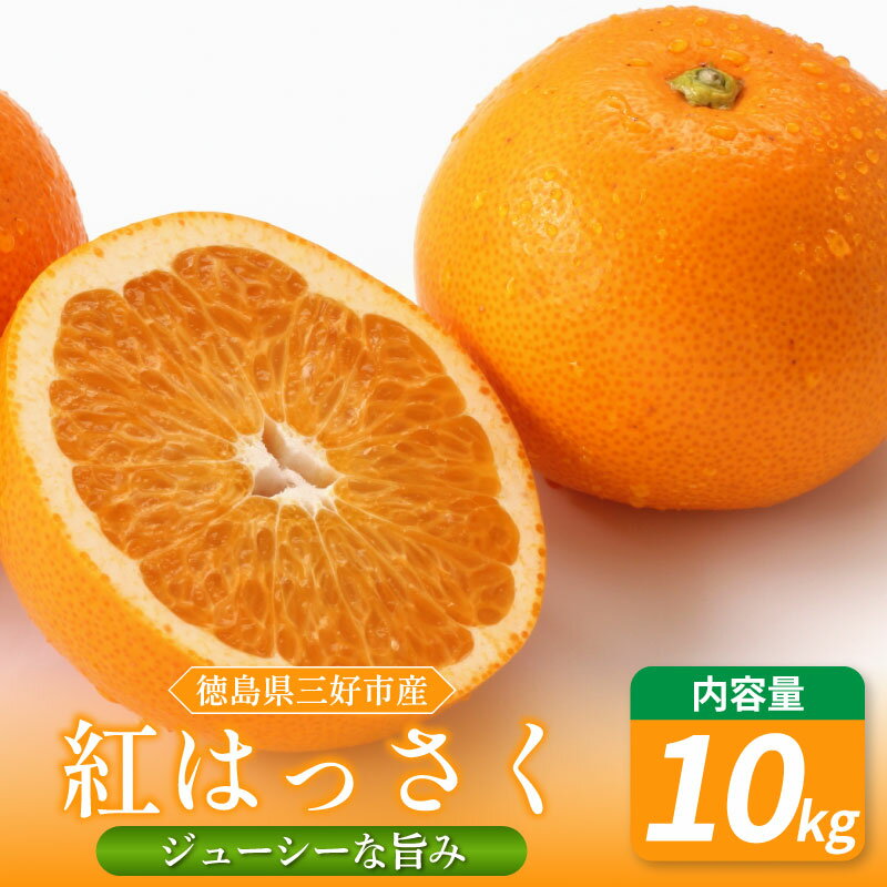 【ふるさと納税】 はっさく 10kg みかん 八朔 数量限定 国産 産地直送 紅八朔 紅はっさく 蜜柑 柑橘 ミカン オレンジ mikan 特産品 期間限定 徳島 フルーツ 果物 オレンジジュース おやつ デザート 徳島県 三好市 みよし miyoshi 小笠原智