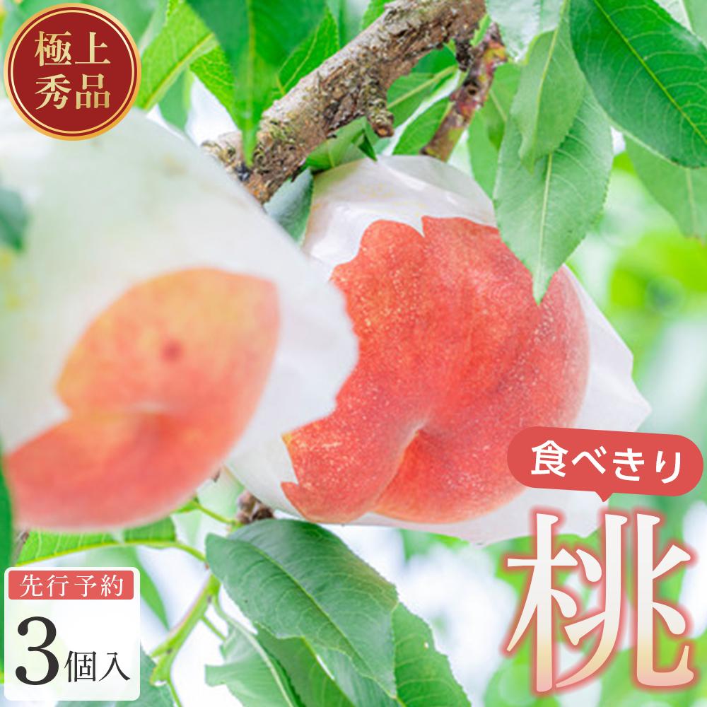 【ふるさと納税】桃 極上秀品 食べきりやすい3個入 ［先行予約］［2026年6月下旬頃より順次発送］こだわり農家厳選！［KG1］ | もも フルーツ 果物 くだもの 食品 人気 おすすめ 送料無料
