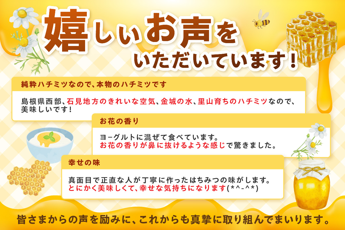 水のきれいな浜田市金城町産「いわみの里山 純粋はちみつ」500g×2本【184_1904】
