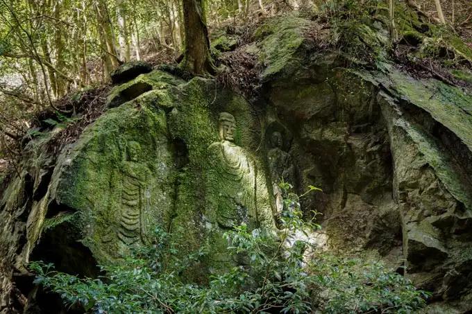 春日山原始林ガイドウォーク 旅行 旅 体験 ツアー 原始林 世界遺産 山 春日山 F-88
