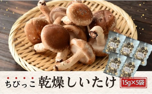 大分県産 しいたけ 津久見で育てたちびっこ乾燥しいたけ 15g×5袋 　|　津久見市 干し椎茸 菌床しいたけ きのこ 小粒 国産 産地直送