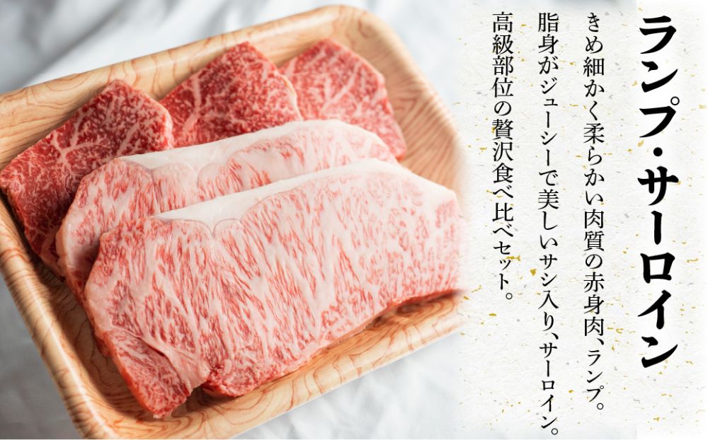 A5 飛騨牛 ステーキ 500g 合計4枚 ( ランプステーキ 100g×3枚 / サーロインステーキ 200g ) ≪冷凍≫ 化粧箱入 黒毛和牛 肉 飛騨高山 肉の匠家 c509