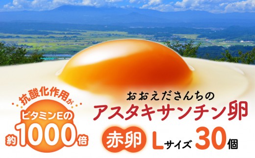 
                  おおえだファーム 御皇卵 アスタキサンチン卵（赤卵）Lサイズ 30個入り
                