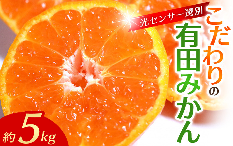 
            早期先行予約！ 【配送時期が選べる】 こだわりの有田みかん 約5kg＋250g(傷み補償分)【11月･12月･1月から選択可能】  光センサー選別品 農家直送品 ※北海道・沖縄・離島配送不可 / みかん 有田みかん 温州みかん 柑橘 果物 くだもの フルーツ 有田 和歌山 和歌山県産 産地直送【nuk160B】
          