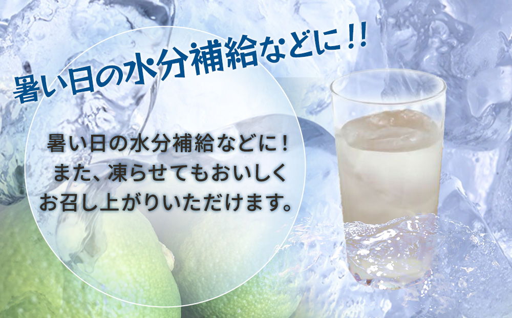 塩とカボス　495ml×24本　かぼすジュース カボスドリンク 飲料 スポーツドリンク 大分県産 九州産 津久見市 国産 送料無料