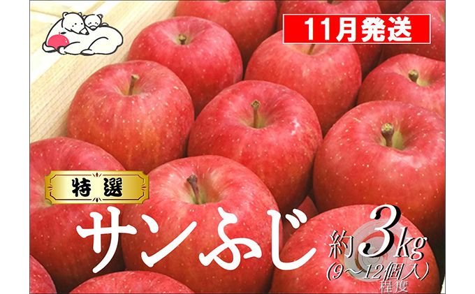 【11月発送】白熊 特選 サンふじ 絆 約3kg 糖度13度【弘前市産 青森りんご 果物 フルーツ 食後 デザート シャキシャキ ジューシー りんごの王様  】