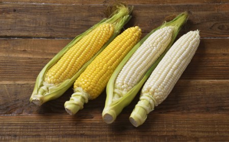 ≪令和７年産予約受付！≫おおとり　野菜の定期便（４回）アスパラ あすぱら とうもろこし とうきび じゃがいも 芋 イモ いも カボチャ 南瓜 旬 旬の野菜 定期配送[053-06]