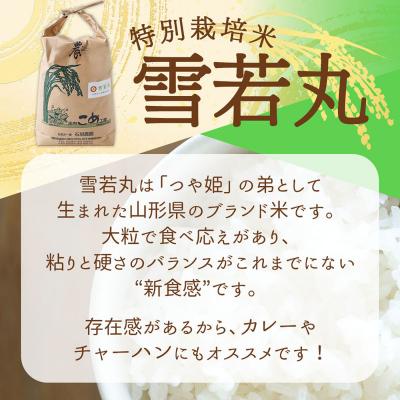 ふるさと納税 庄内町 石垣農園の特別栽培米 雪若丸 10kg 5kg×2袋 令和7年産 2025年産 ブランド米 |  | 01