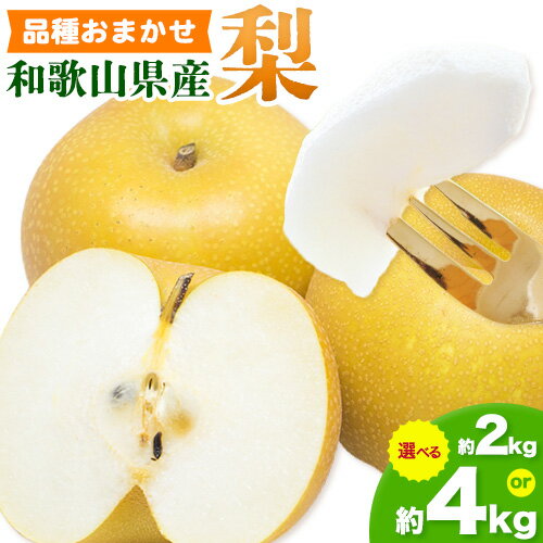 【ふるさと納税】和歌山県産の 梨 選べる 約 2kg 約 4kg (品種おまかせ) 厳選館【先行予約】《2026年8月下旬-9月下旬頃出荷》和歌山県 日高町 果物 フルーツ 梨 なし ナシ 送料無料