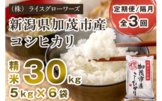 【令和7年産】【定期便3回隔月お届け】新潟県加茂市産コシヒカリ 精米30kg（5kg×6）《順次出荷》 新潟県産コシヒカリ 新潟産コシヒカリ 新潟コシヒカリ 新潟県産こしひかり 新潟産こしひかり 新潟こしひかり コシヒカリ こしひかり お米 白米 米 定期便 （株）ライスグローワーズ