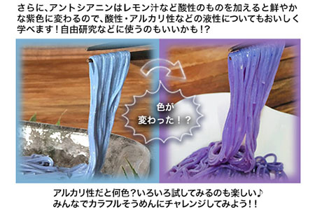 そらいろそうめん薄色3個 福永幸山堂
