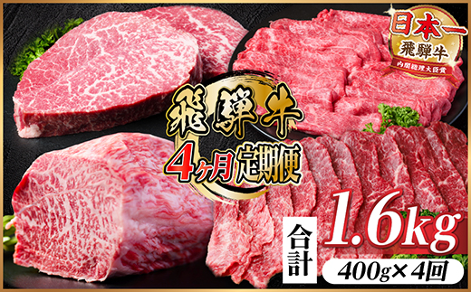 【毎月定期便】飛騨牛 赤身定期便 計1.6kg 焼肉 BBQ すき焼き しゃぶしゃぶ ブロック全4回【配送不可地域：離島】