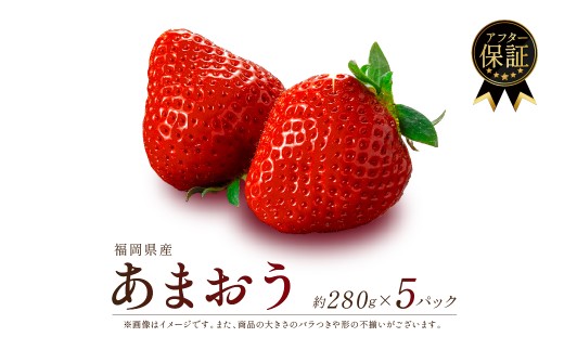 【2027年2-3月発送】福岡県産 あまおう 約280g×5P 約1.4kg 冷蔵 小分け いちご 苺 イチゴ フルーツ 果物 スイーツ くだもの 冬 春 旬 福岡 九州 福岡県 川崎町 数量限定 期間限定 セムマーケティング