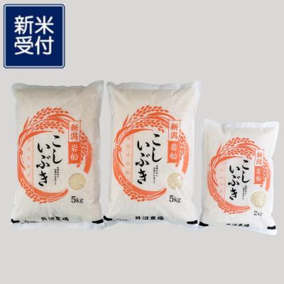 ふるさと納税 村上市 【新米受付・令和7年産米】 こしいぶき 白米12kg 新潟県村上市岩船産　1067104N
