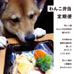 【定期便6回】わんこのお弁当セット Mサイズ