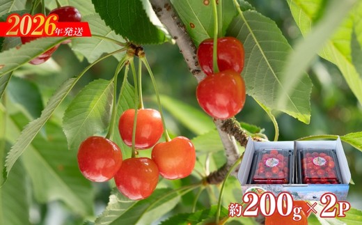 No.2282ヤマ考紺野果樹園 さくらんぼ 佐藤錦 200g×2パック【2026年発送　先行予約】