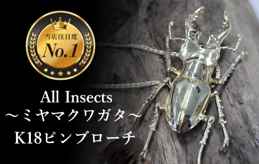 
                  【18金ピンブローチ】ミヤマクワガタ幻の昆虫アートジュエリーAll insects【個数限定】CB-86
                