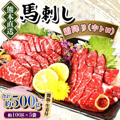 ふるさと納税 美里町 【熊本直送】馬刺しブロック肉　霜降り(中トロ)500g(美里町)