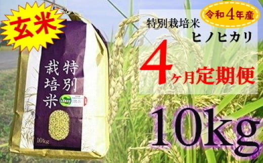 
ZE-2 【4ヶ月連続お届け】佐賀県産 特別栽培米 ヒノヒカリ10kg
