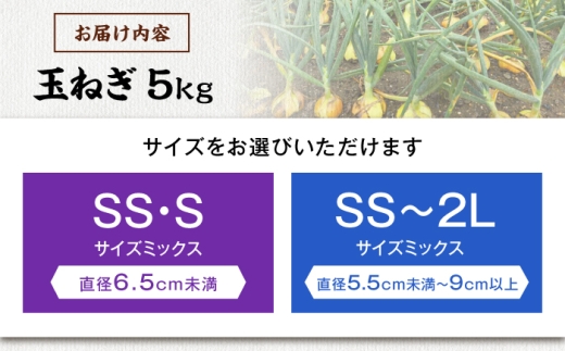 【訳あり】玉ねぎ5kg 玉ねぎ たまねぎ タマネギ 玉葱 オニオン 訳アリ わけあり玉ねぎ 野菜 玉ねぎ 滋賀県 長浜市 人気