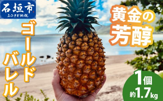
                  【先行予約】黄金の芳醇 ゴールドバレル 1玉 約1.7kg ＜2027年7月以降順次発送＞
                
