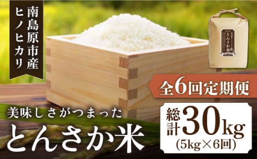 【南島原市産ヒノヒカリ】とんさか米 5kg×6回 定期便 / ひのひかり 米 お米 こめ コメ 精米 / 南島原市 / 林田米穀店 [SCO009]