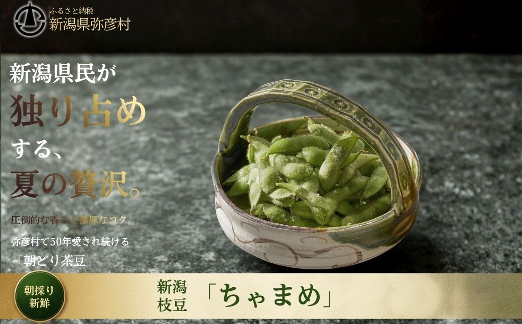 【先行予約】 朝どり新鮮 新潟 枝豆 えだまめ 茶豆 3kg | 特産品 野菜 おつまみ 晩酌 濃厚な甘さ お取り寄せ おすすめ プレゼント ギフト 贈答 贈り物 3キロ 新潟県 弥彦村 農事組合法人