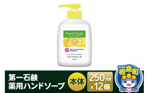 第一石鹸 薬用ハンドソープ 本体 250ml×12個