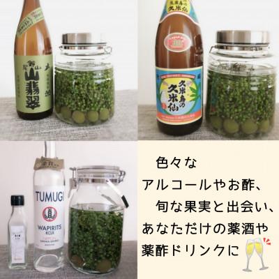 ふるさと納税 三木町 瞬冷凍☆ウマブドウ果実(野ぶどう)900g《3種のドリンクサンプル&レシピ&ウマブドウ茶付き》 |  | 01