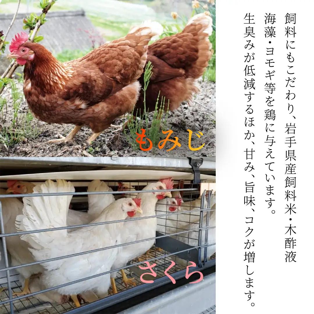 純国産鶏【さくらともみじ】純たまご30個入り 破損保証5個を含む【12ヶ月連続お届け】 (AJ034) 国産 卵 産地直送 飼料にこだわった 鶏卵