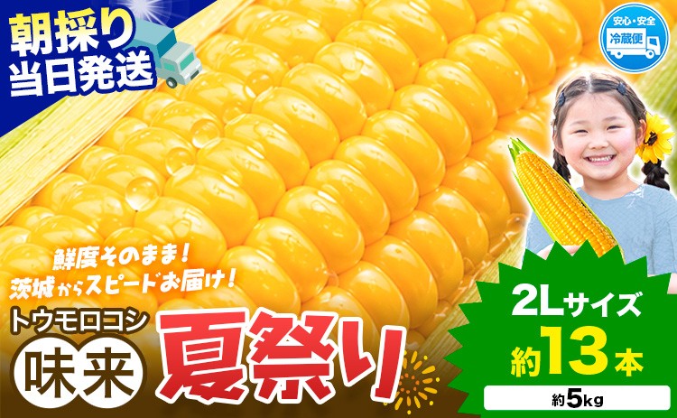 
                  新登場★ とうもろこし 味来 【収穫後当日出荷！】 夏祭り 約5kg 13本前後《6月中旬-7月中旬頃出荷予定》 茨城県 結城市 野菜 甘味が強い トウモロコシ ジューシー フルーティー 夏野菜 コーン【配送不可地域あり】(北海道・沖縄・離島)
                