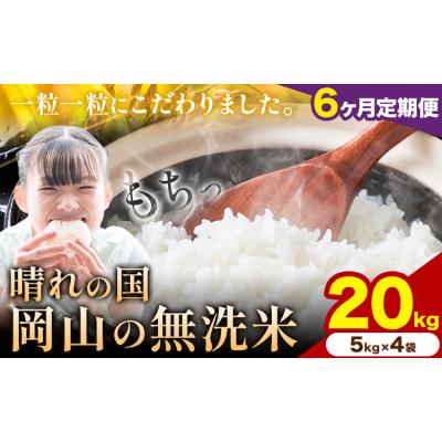ふるさと納税 矢掛町 【6ヶ月定期便】晴れの国岡山の無洗米 20kg《申し込み翌月から発送》