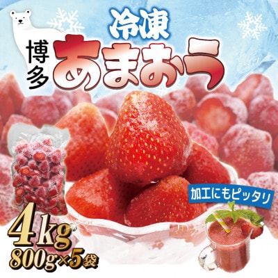 福岡県産冷凍あまおう4kg(800g×5袋)(岡垣町)【配送不可地域：離島】