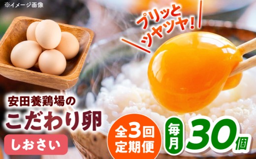 【全3回定期便】安田養鶏場の卵 しおさい 30個入り 横須賀市 産地直送 割れ保証付き たまご 黄身 濃厚 卵 玉子 タマゴ 鶏卵  新鮮 たまごかけごはん 卵焼き たまごやき 生卵 弁当 ゆでたまご たまこ egg セット tamago【安田養鶏場】 [AKHN008]