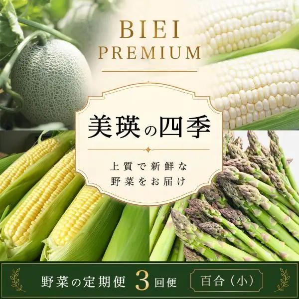 野菜 定期便 3回 【令和9年産予約受付】 美瑛の四季 百合（小）野菜 セット