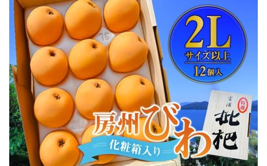 【先行受付 2026年5月中旬～6月下旬発送予定】房州びわ 2Lサイズ以上 12個（化粧箱入）  mi0114-0001 【果物 枇杷 房州びわ フルーツ 国産 甘味 酸味】
