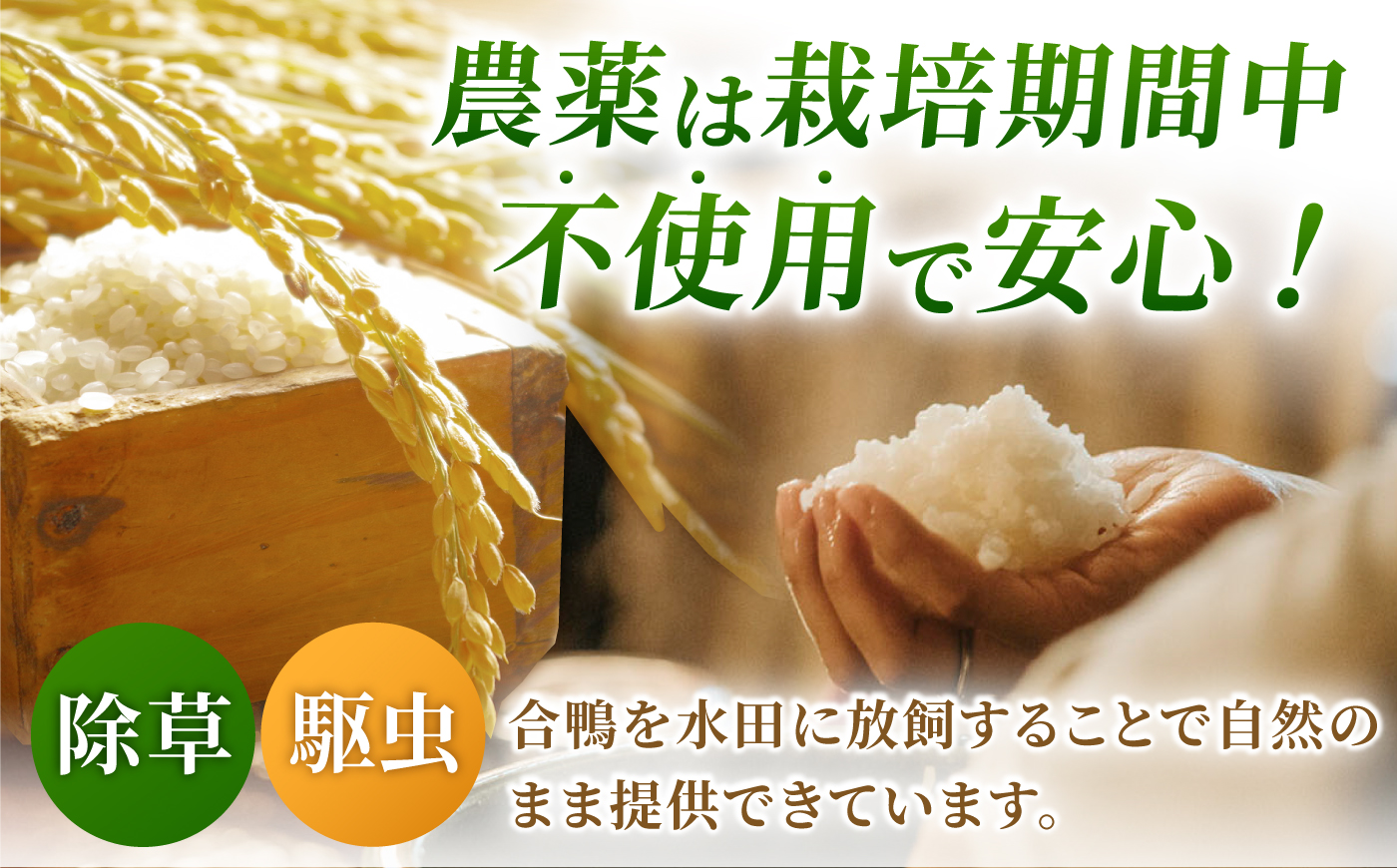 合鴨米 5kg 【あいがもん倶楽部】 [ZAR026]