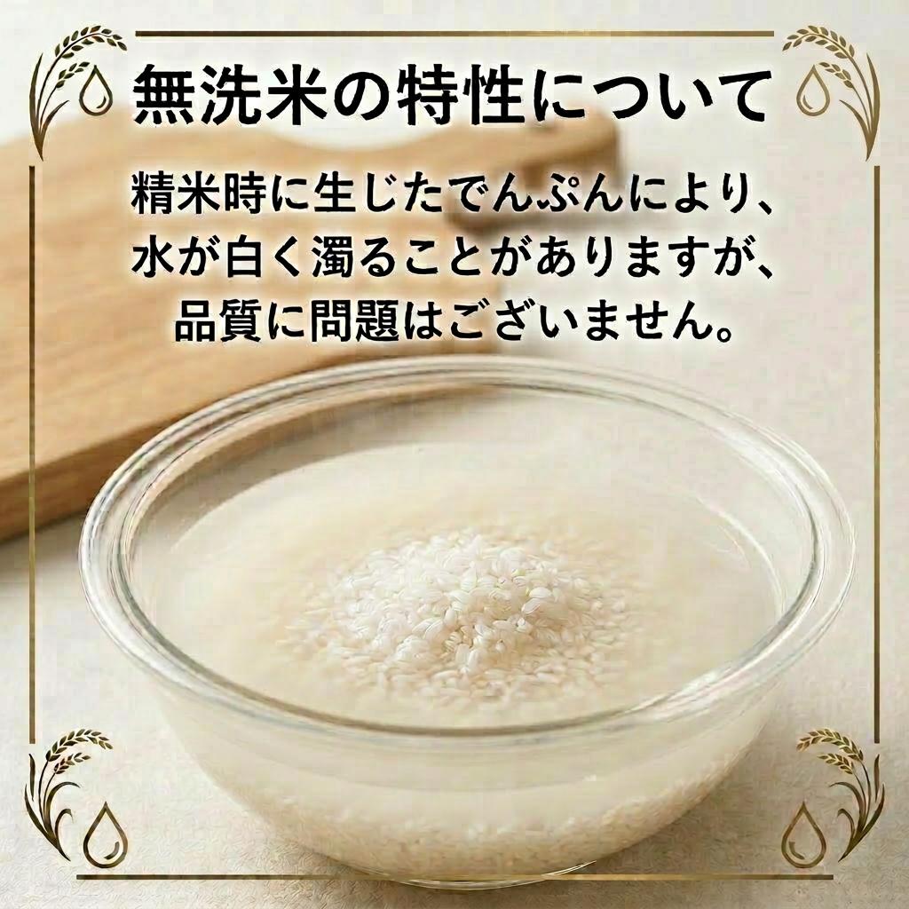 令和8年産 富山県氷見産 コシヒカリ 無洗米 5kg 富山県 氷見市 米 こしひかり