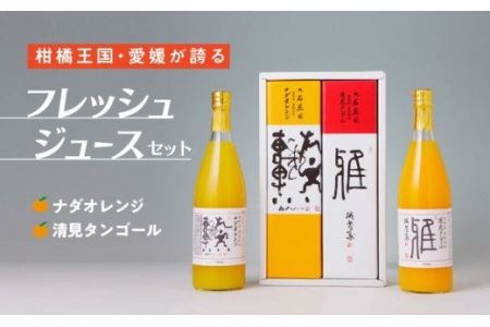 愛媛県産 果汁100％みかんジュース2本入りセット（清見・ナダオレンジ）みかん 柑橘 ギフト