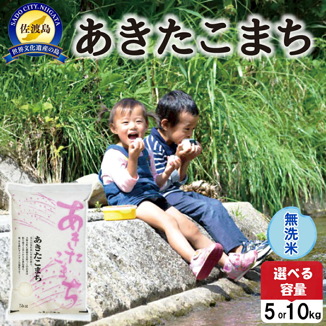 【ふるさと納税】米 あきたこまち 無洗米 5kg 10kg 選べる 令和7年産 佐渡島産 世界農業遺産 秋田小町 あっさり 精米したて ごはん おにぎり お弁当 和食 新潟県 佐渡市