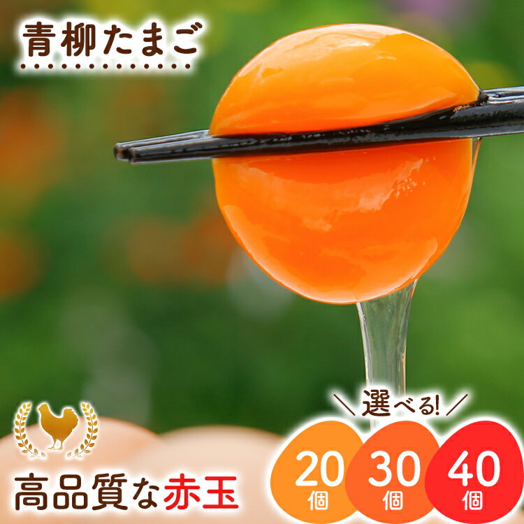 【ふるさと納税】卵 青柳たまご 20個 30個 40個 たまご 生卵 鶏卵 ビタミンE 10倍 低コレステロール 濃厚 鮮度抜群 産地直送 農場直送 詰め合わせ パック TKG 玉子焼き 朝食 健康 栄養