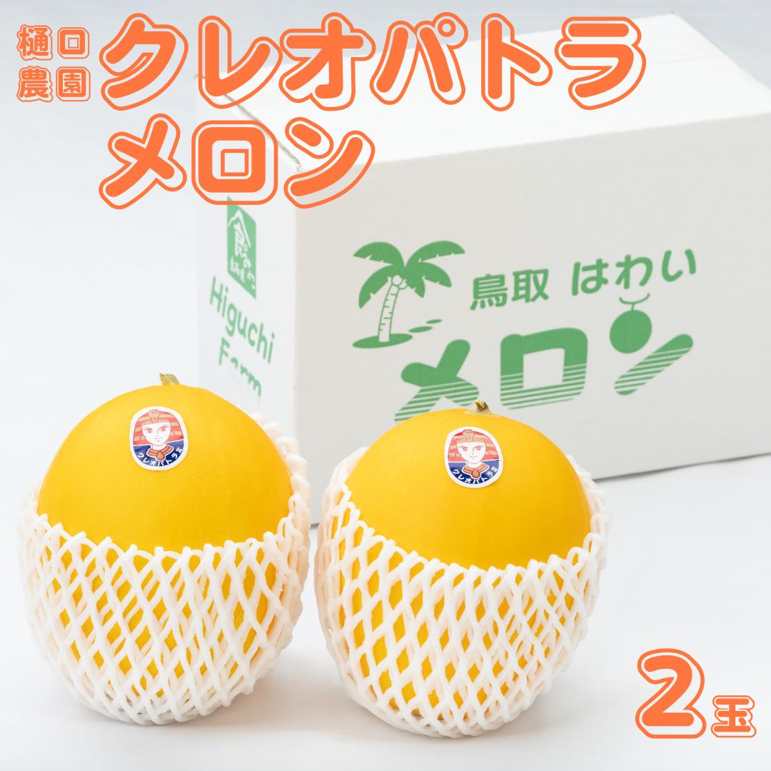 22K.樋口農園のクレオパトラメロン 2玉