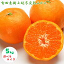 【ふるさと納税】【濃厚・まろやか】有田産樹上越冬完熟みかん 5kg（秀品） 【選べるサイズ】 ＜2025年1月下旬頃～2025年2月中旬頃に順次発送＞ / みかん 有田 柑橘 果物 果実 完熟