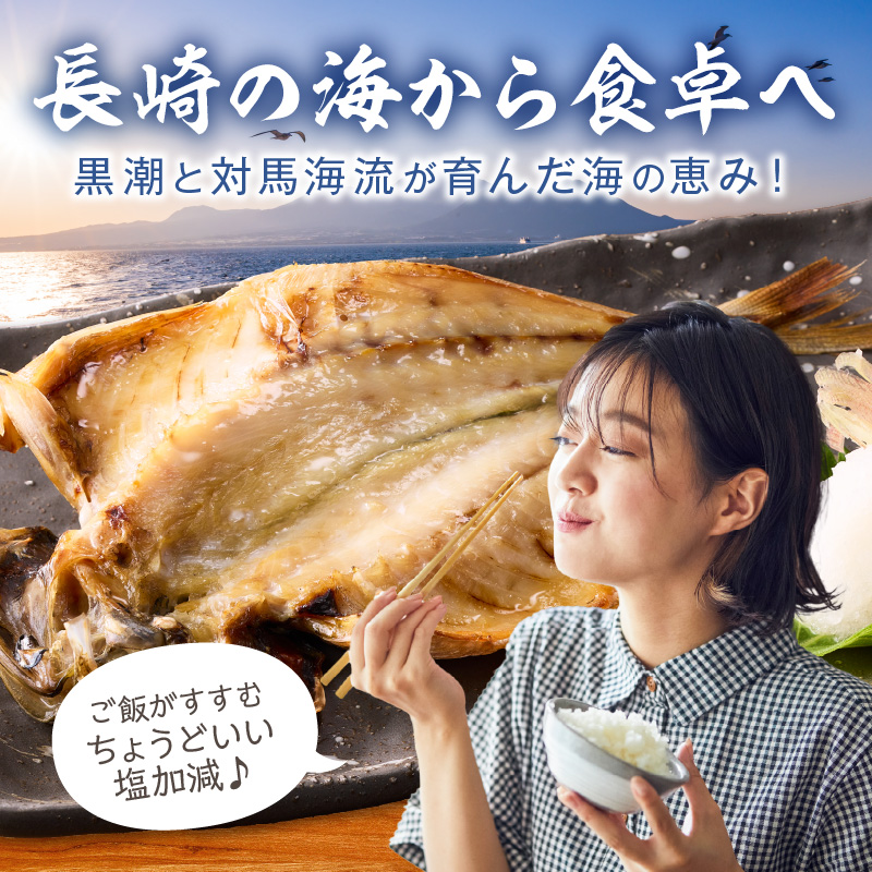 松浦・潮風のたより(イカなし＆サバ増量) ( 松浦市 サバ アジ カマス 干物 アジ開き 一夜干し 詰め合わせ )【B0-264】