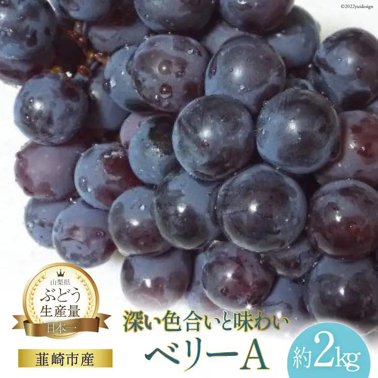 ぶどう ベリーA 約 2kg 【2026年発送】