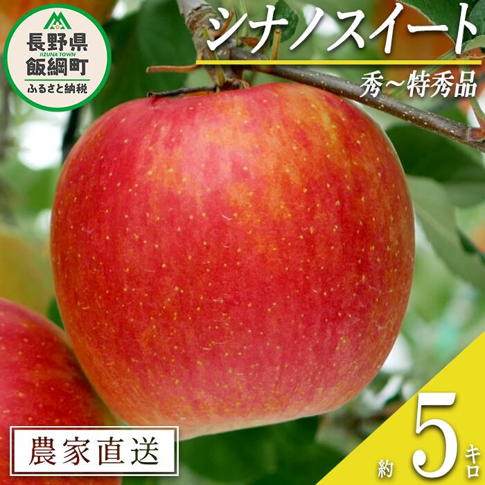 【ふるさと納税】 りんご シナノスイート 秀 〜 特秀 5kg 松橋りんご園 沖縄県への配送不可 令和7年度収穫分 長野県 飯綱町 〔 信州 果物 フルーツ リンゴ 林檎 長野 16000円 予約 農家直送 〕発送時期：2025年10月上旬〜2025年11月上旬 {***}