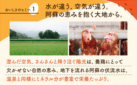 【全3回定期便】赤たまご M玉 90個（85個＋5個割れ保証）【株式会社 かもと養鶏】タマゴ 玉子 熊本県 卵 国産 新鮮 あかたまご M玉  濃厚 [ZCA014]