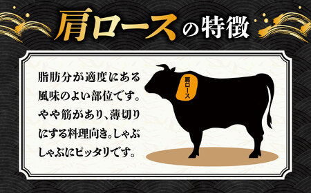 【1月発送】【飛騨牛 しゃぶしゃぶ用】 A5等級 ロース / 肩ロース 500g 和牛 ブランド牛 国産 牛肉 多治見市 / 渡辺精肉店 [TAZ007-1]