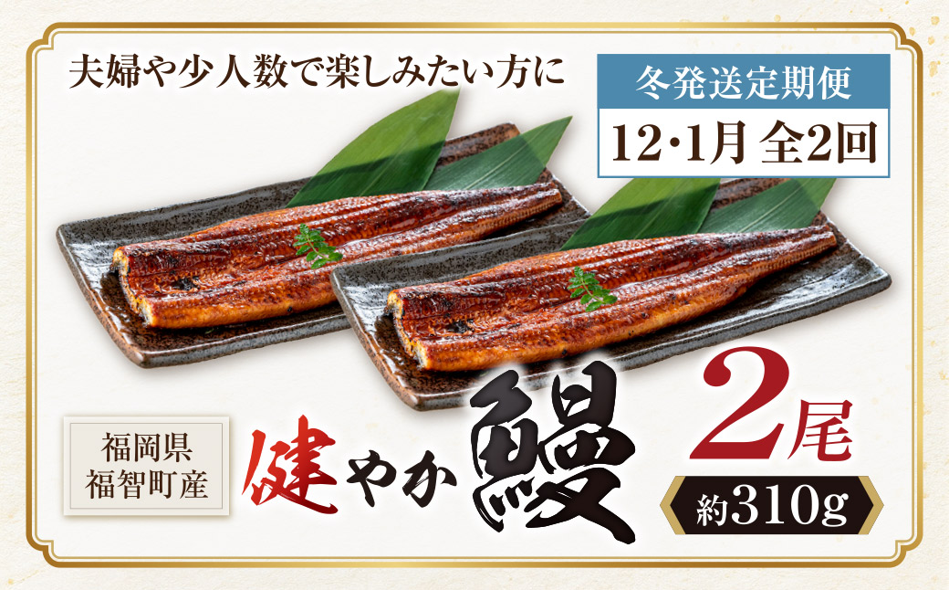 健やか鰻 国産うなぎ蒲焼(無頭)2尾(計310g以上) 定期便(冬発送・12月〜1月・全2回)