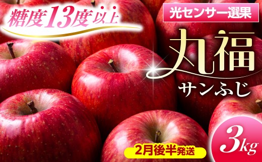 りんご　サンふじ約3kg丸福 光センサー選果 糖度13度以上 青森産りんご 【2027年2月後半発送】 11月 12月 1月 2月 3月 配送 リンゴ 五所川原りんご